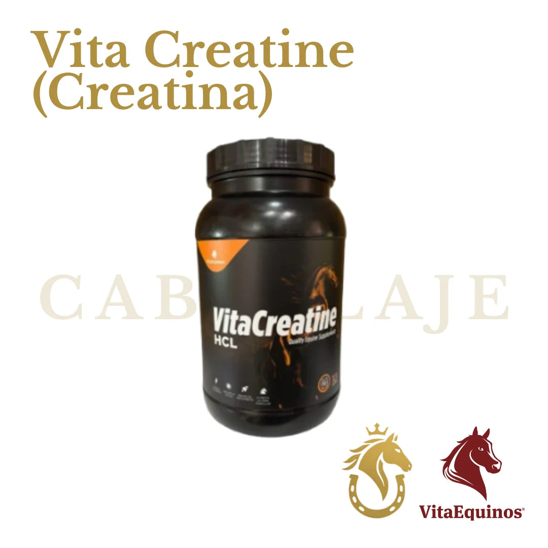 Vita Creatine (Creatina)
