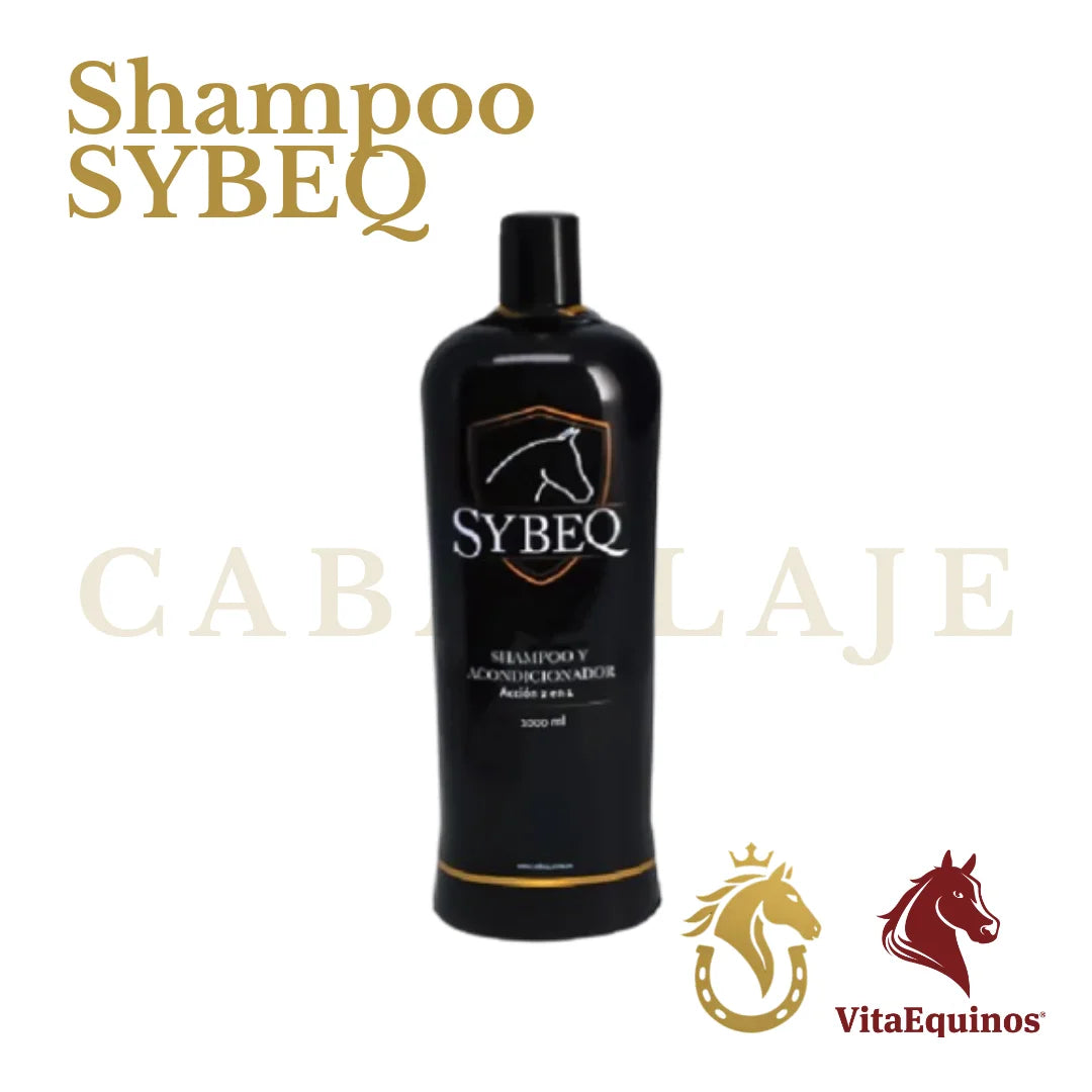 Shampoo 2 en 1 SYBEQ