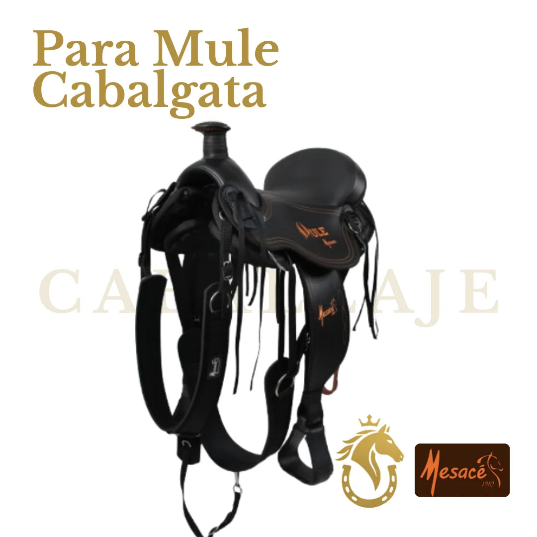 Silla para Mule Cabalgata