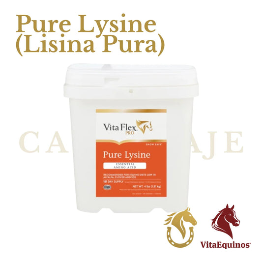 Pure Lysine (Lisina Pura)