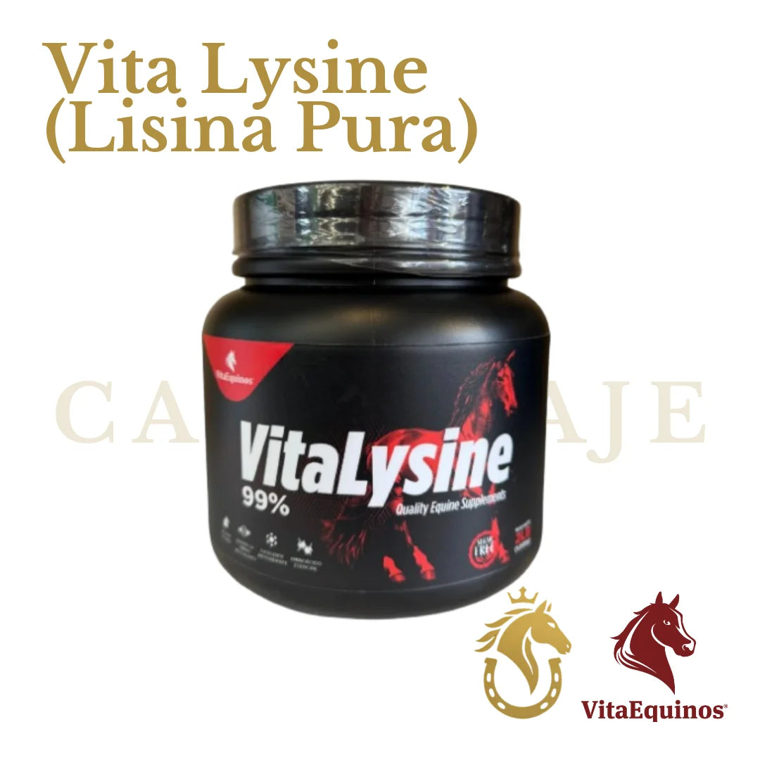 Vita Lysine (Lisina Pura)
