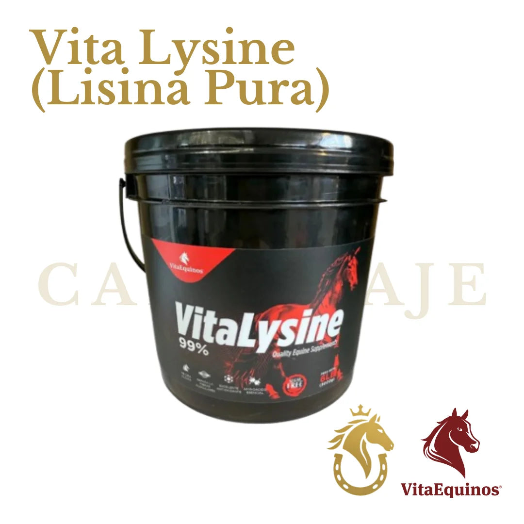 Vita Lysine (Lisina Pura)