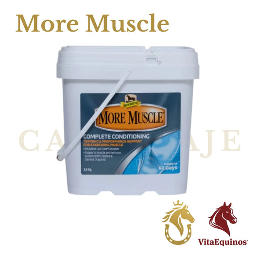 More Muscle