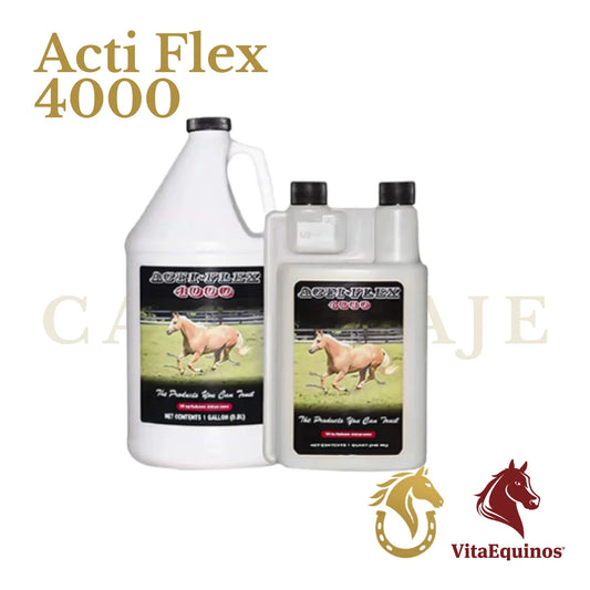 Acti Flex 4000