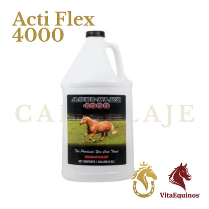Acti Flex 4000