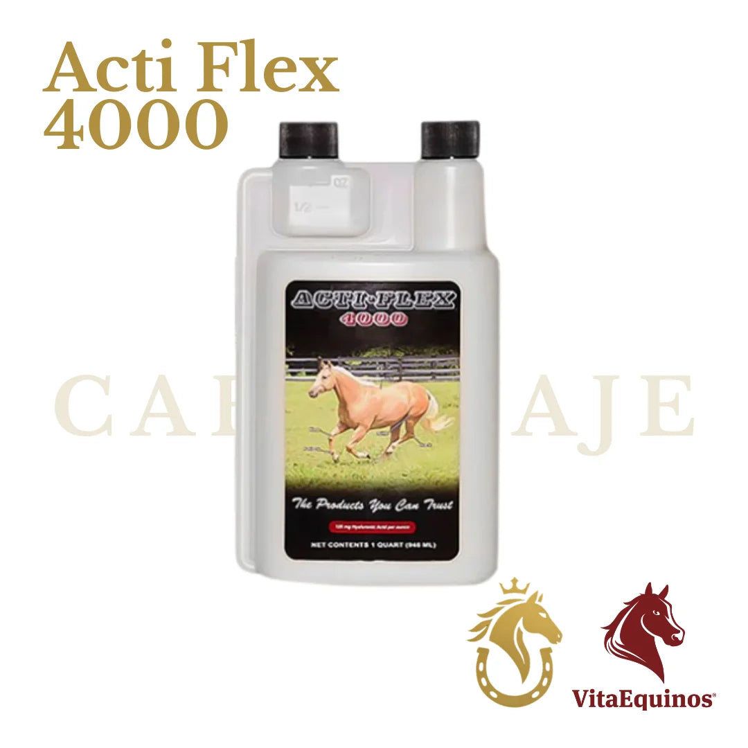 Acti Flex 4000