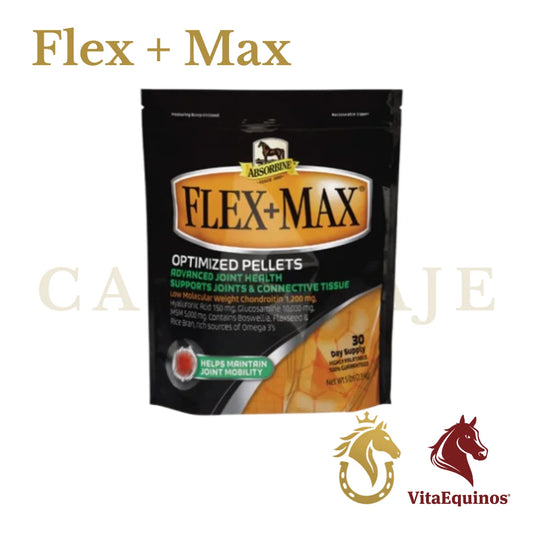 Flex + Max