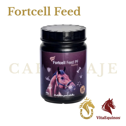 Fortcell Feed