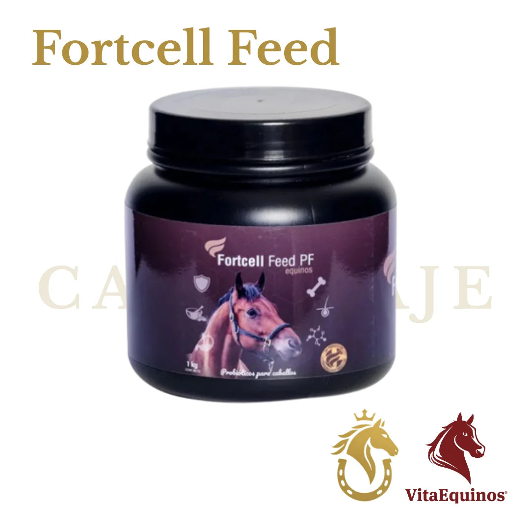 Fortcell Feed