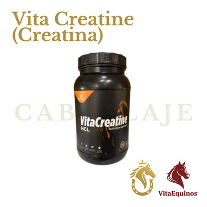 Vita Creatine (Creatina)