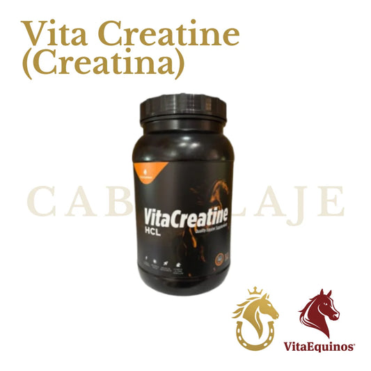 Vita Creatine (Creatina)