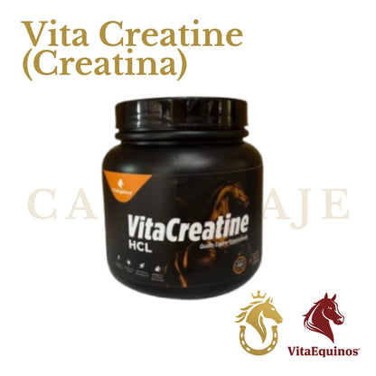 Vita Creatine (Creatina)