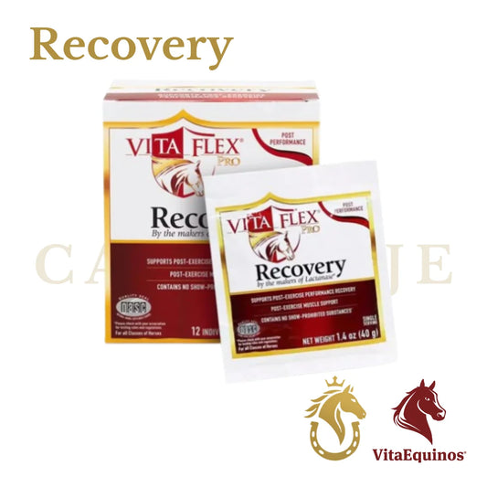 Recovery