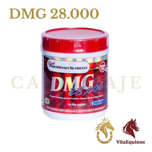DMG 28.000
