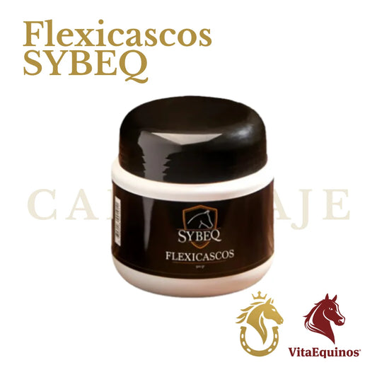 Flexicascos SYBEQ