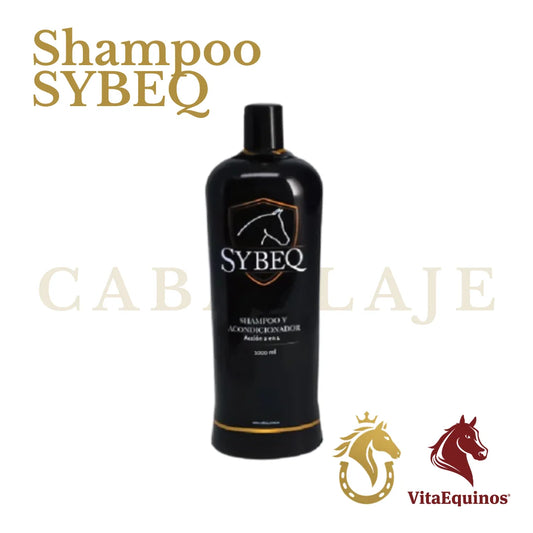Shampoo 2 en 1 SYBEQ