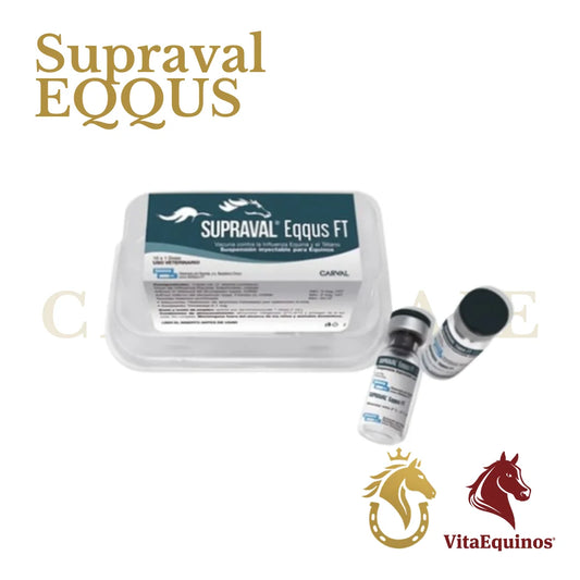 Supraval Eeqs