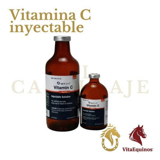 Vitamina C Inyectable Vet One