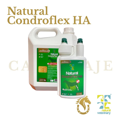 Natural Condroflex HA